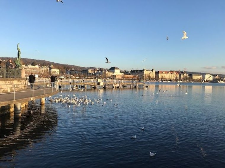 Take a Cruise on Limmat-2